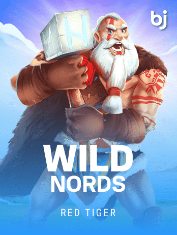 WildNords icon